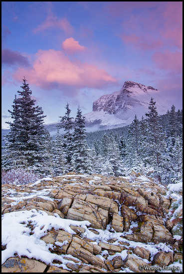 - Wynn Mountain at Sunset, Glacier NP -