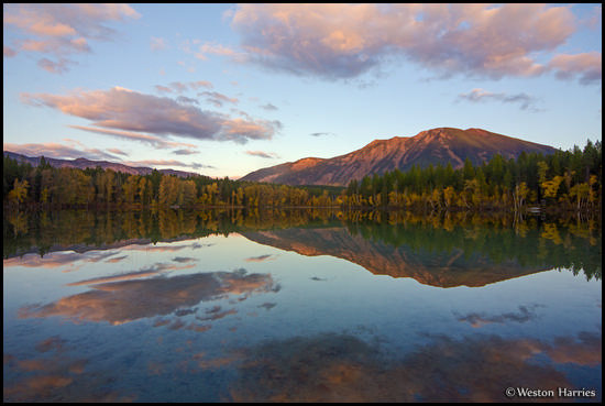 - Fall Colors Reflected in Half Moon Lake at Sunset, West Glacier, MT -