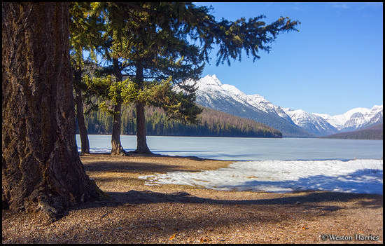 - Spring at Bowman Lake, Glacier NP -