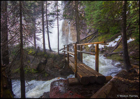 - Footbridge Leading to Virginia Falls, Glacier NP -