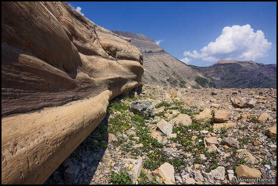 - Glacially Smoothed Rock Wall, Glacier NP -