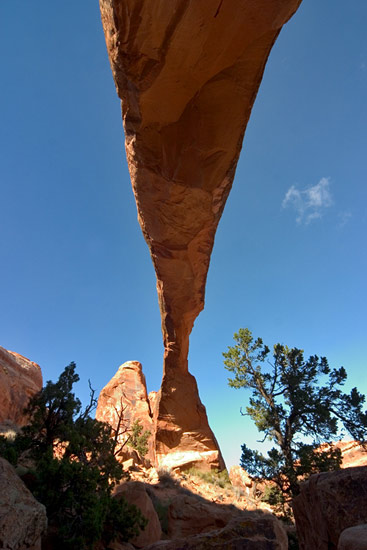- Looking Up From Beneath Landscape Arch, Arches NP -