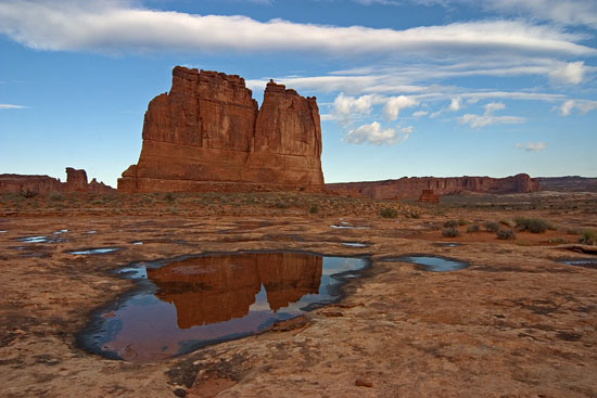 - The Organ Reflected in a Small Pool After a Storm, Arches NP -