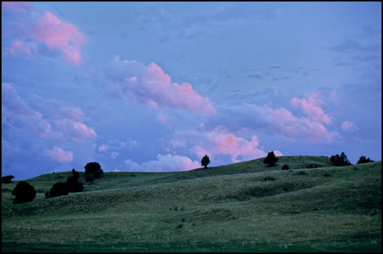 - Rolling Hills in the Sage Creek Area, Sunset, Badlands NP -