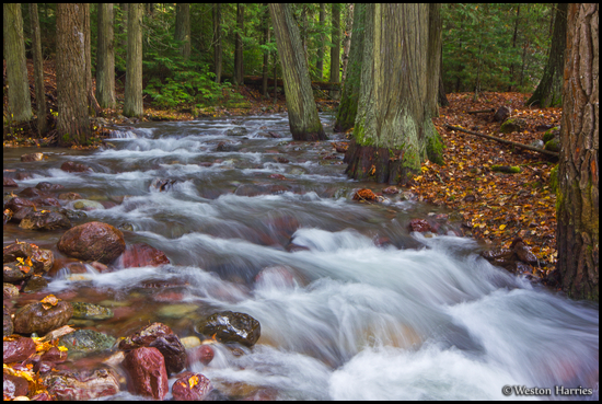 - Jackson Creek, Glacier NP -