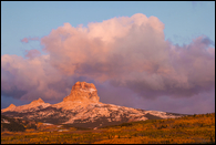 - Aspens in Fall Color Below Chief Mountain at Sunrise, Glacier NP -