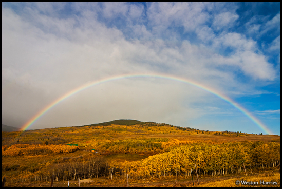 - Full Rainbow Over a Grove of Aspens in Fall Color, Glacier NP -