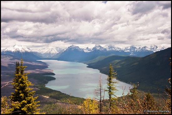 - View of Lake McDonald and Peaks from Apgar Lookout, Glacier NP -