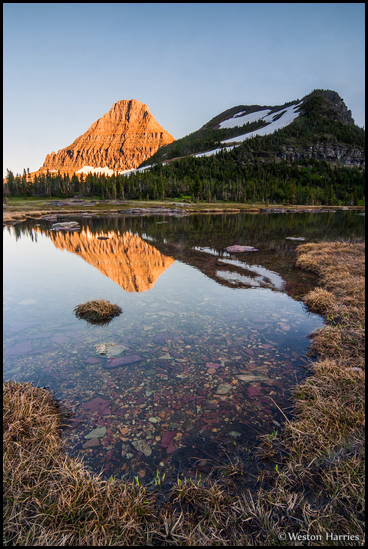 - Reynolds Mountain Reflected in a Seasonal Pond at Sunset, Glacier NP -