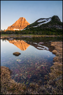 - Reynolds Mountain Reflected in a Seasonal Pond at Sunset, Glacier NP -