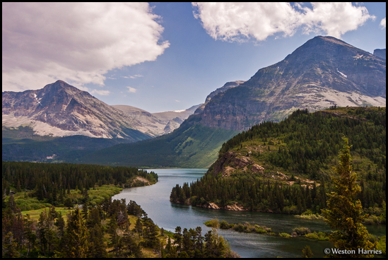 - Swiftcurrent Creek Winding Toward
Wynn Mtn and Allen Mtn, Glacier NP -