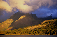 - A View Over Swiftcurrent Lake at First Light, Glacier NP -