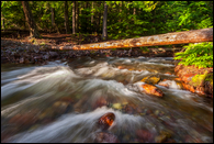 - Sprague Creek, Glacier NP -