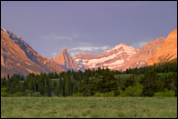 - Sunrise Light on the Peaks Over a Meadow in the Belly River Area, Glacier NP -