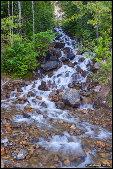 - Cascades in Alpha Creek, Near Glacier NP -