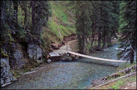 - Suspension Bridge Near Hidden Falls, Glacier NP -