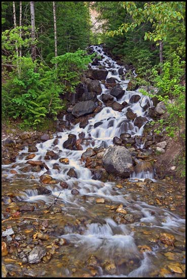 - Cascades in Alpha Creek, Near Glacier NP -