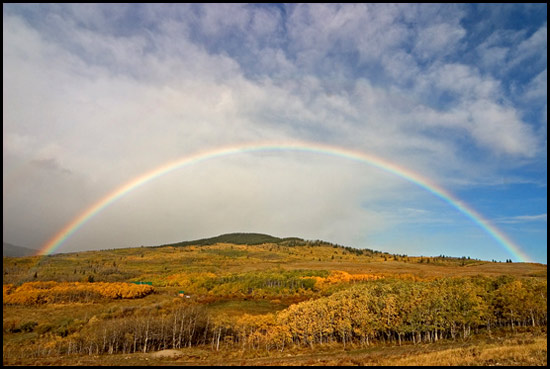 - Full Rainbow Over a Grove of Aspens in Fall Color, Glacier NP -