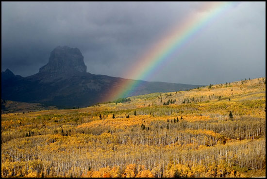 - Rainbow Over Chief Mountain, with Aspens in Golden Fall Color, Glacier NP -