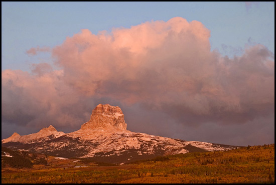 - Aspens in Fall Color Below Chief Mountain at Sunrise, Glacier NP -