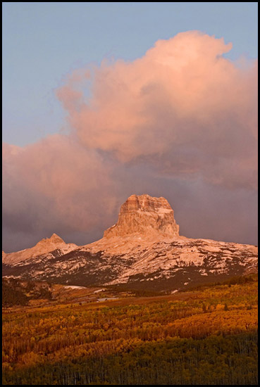 - Aspens in Fall Color Below Chief Mountain at Sunrise, Glacier NP -