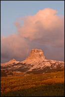 - Aspens in Fall Color Below Chief Mountain at Sunrise, Glacier NP -