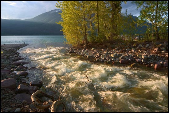 - Snyder Creek Entering Lake McDonald, Glacier NP -