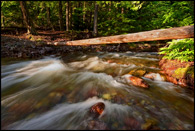 - Sprague Creek, Glacier NP -