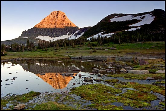 - Sunset Light on Reynolds Mtn, Reflected in a Seasonal Pond, Glacier NP -