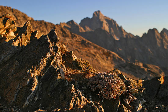 - The Grand at Sunrise, Seen From Static Peak, Grand Teton NP -