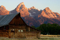 - Old Barn on Mormon Row, Below the Teton Range at Sunrise, Grand Teton NP -