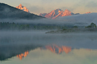 - A Foggy Sunrise at Oxbow Bend, Grand Teton NP -