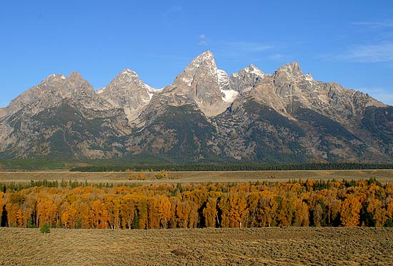 - Fall Colors Along the Snake River, Below the Teton Range, Grand Teton NP -