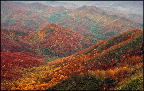 - Fall Colors Along the Appalachian Trail, GSMNP -