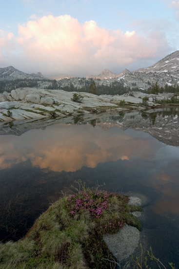 - Wildflowers on the Shore of a Lake in Granite Basin, Reflecting Goat Crest and Clouds at Sunset, Kings Canyon NP -