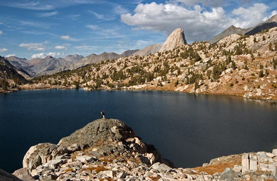 - Backpacker Looking Out at an Unnamed Lake Below Fin Dome, Sixty Lake Basin, Kings Canyon NP -