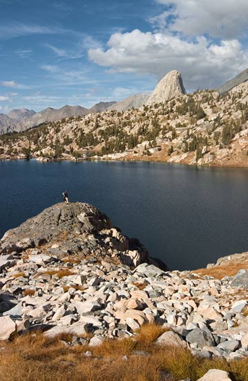 - Backpacker Looking Out at an Unnamed Lake Below Fin Dome, Sixty Lake Basin, Kings Canyon NP -