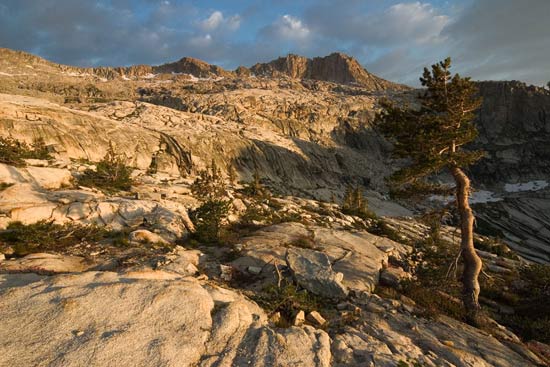 - Sunset Light on a Ridge Above Pear Lake, Sequoia NP -