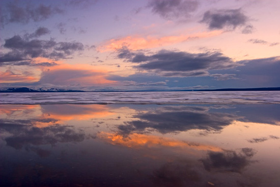 - Sunset Colors Reflected in the Thawed Edge of Frozen Yellowstone Lake, Yellowstone NP -