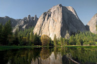 - Trees Reflected in a Spring Pond Below Cathedral Rocks, Early Morning, Yosemite NP -