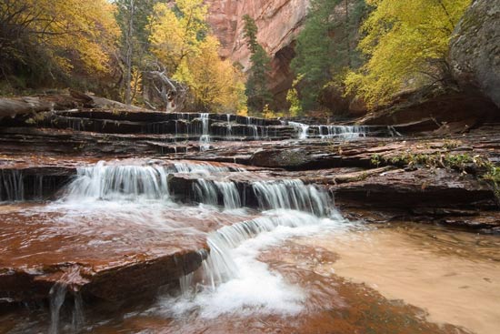 - Archangel Cascades and Fall Colors, Left Fork of the North Creek, Zion NP -