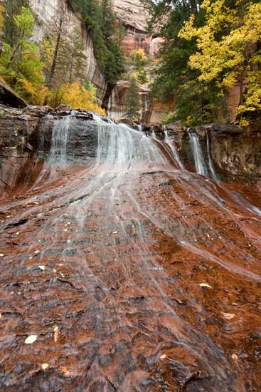 - Archangel Cascades and Fall Colors, Left Fork of the North Creek, Zion NP -