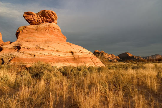 - Balanced Rock in Cave Valley Glowing at Sunset, Lower Kolob Plateau, Zion NP -